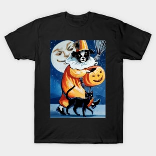 Halloween Harlequin T-Shirt